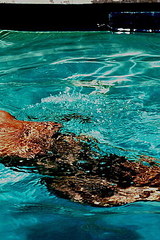 Genesis Getting wet and wild in the pool  10