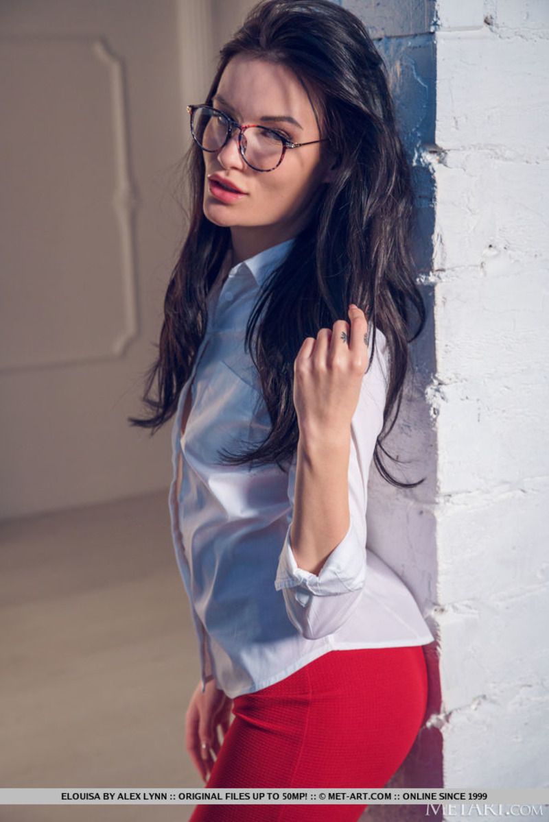 Pencil Skirt 04